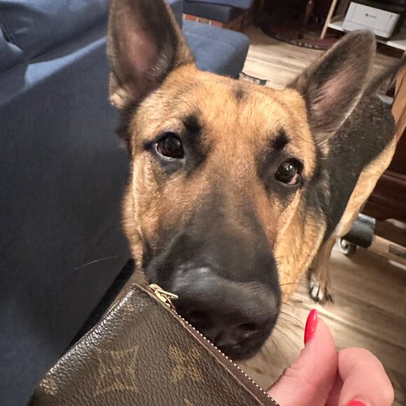 Louis Vuitton Monogram Key Pouch / Coin Purse - Picture 6 of 7